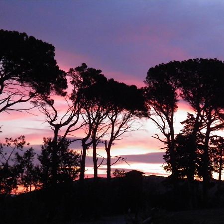 Villa Aigues Vives ブートゥナック エクステリア 写真