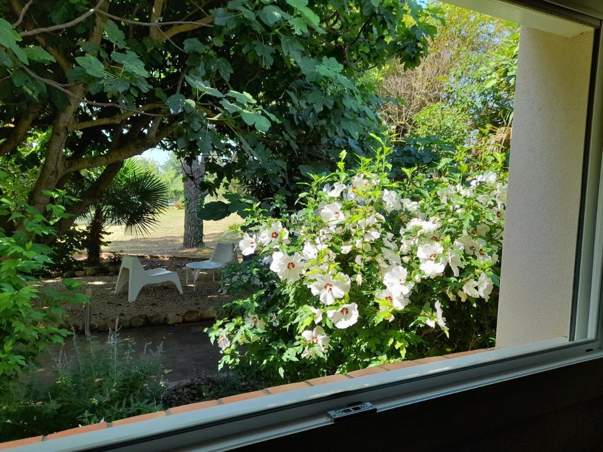 Villa Aigues Vives ブートゥナック エクステリア 写真